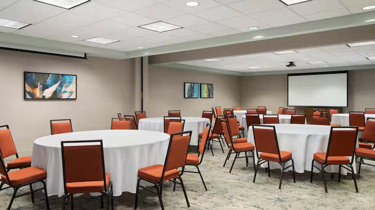 Spacious Meeting Room